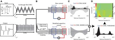 Software for near-real-time voltammetric tracking of tonic neurotransmitter levels in vivo